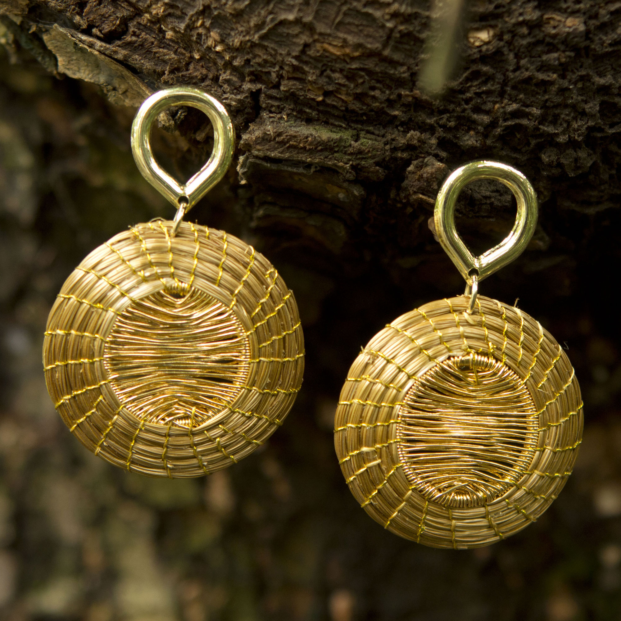 Brazilian Hand Crafted Golden Grass Dangle Earrings Sunbeams Novica