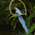 Wood sculpture, 'Blue Brazilian Macaw' - Hand Carved and Painted Bird Theme Brazil Wood Sculpture (image 2d) thumbail
