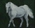 'Neptuno' - Pintura de caballo original firmada de Brasil