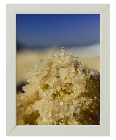 'Grains of Sand' - Fotografía en color original brasileña enmarcada.