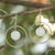 Achat-Ohrhänger – Weiße Achat-Edelsteine ​​​​auf handgefertigten Ohrringen aus Sterlingsilber