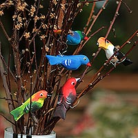 Adornos de madera, 'Pájaros de jardín' (juego de 5) - Juego de 5 adornos de pájaros brasileños para exhibición
