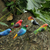 Wood ornaments, 'Garden Birds' (set of 5) - Set of 5 Brazilian Bird Ornaments for Display (image 2b) thumbail