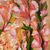'Gladiola II' - Impressionistische Blumenmalerei aus Brasilien