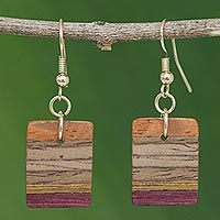 Pendientes colgantes de madera, 'Colores del bosque' - Pendientes colgantes artesanales de madera marrón de Brasil