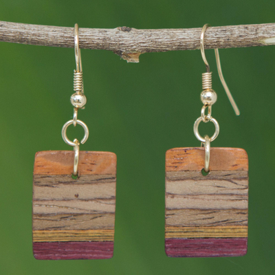 Holz-Baumelohrringe, 'Waldfarben'. - Handgefertigte Ohrringe aus braunem Holz aus Brasilien