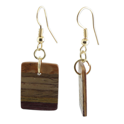 Holz-Baumelohrringe, 'Waldfarben'. - Handgefertigte Ohrringe aus braunem Holz aus Brasilien