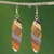 Wood dangle earrings, 'Forest Excitement' - Brown Wood Oval Shaped Dangle Earrings from Brazil thumbail