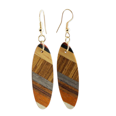 Wood dangle earrings, 'Forest Excitement' - Brown Wood Oval Shaped Dangle Earrings from Brazil