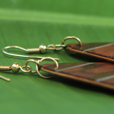 Wood dangle earrings, 'Woodland Stripes' - Handcrafted Wood Striped Dangle Earrings form Brazil
