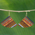 Wood dangle earrings, 'Striped Fans' - Handcrafted Fan-Shaped Wood Dangle Earrings from Brazil (image 2) thumbail