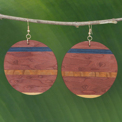 Wood dangle earrings, 'Rugged Beauty' - Handmade Striped Wood Dangle Earrings from Brazil
