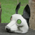 Máscara de cuero, 'Alert Dog' - Máscara de perro blanca y negra hecha a mano de Brasil