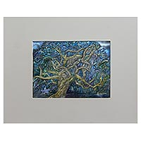 'The Magic Forest' (2012) - Original Expressionist Painting of a Tree from Brazil