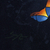 'Tiger in the Night' - Surreal Nighttime Tiger Painting from Brazil (image 2c) thumbail