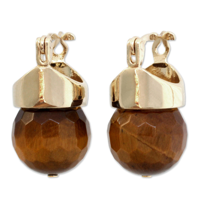 Gold plated tiger's eye drop earrings, 'Honey Acorn' - Tiger's Eye Drop Earrings Bathed in 18k Gold from Brazil