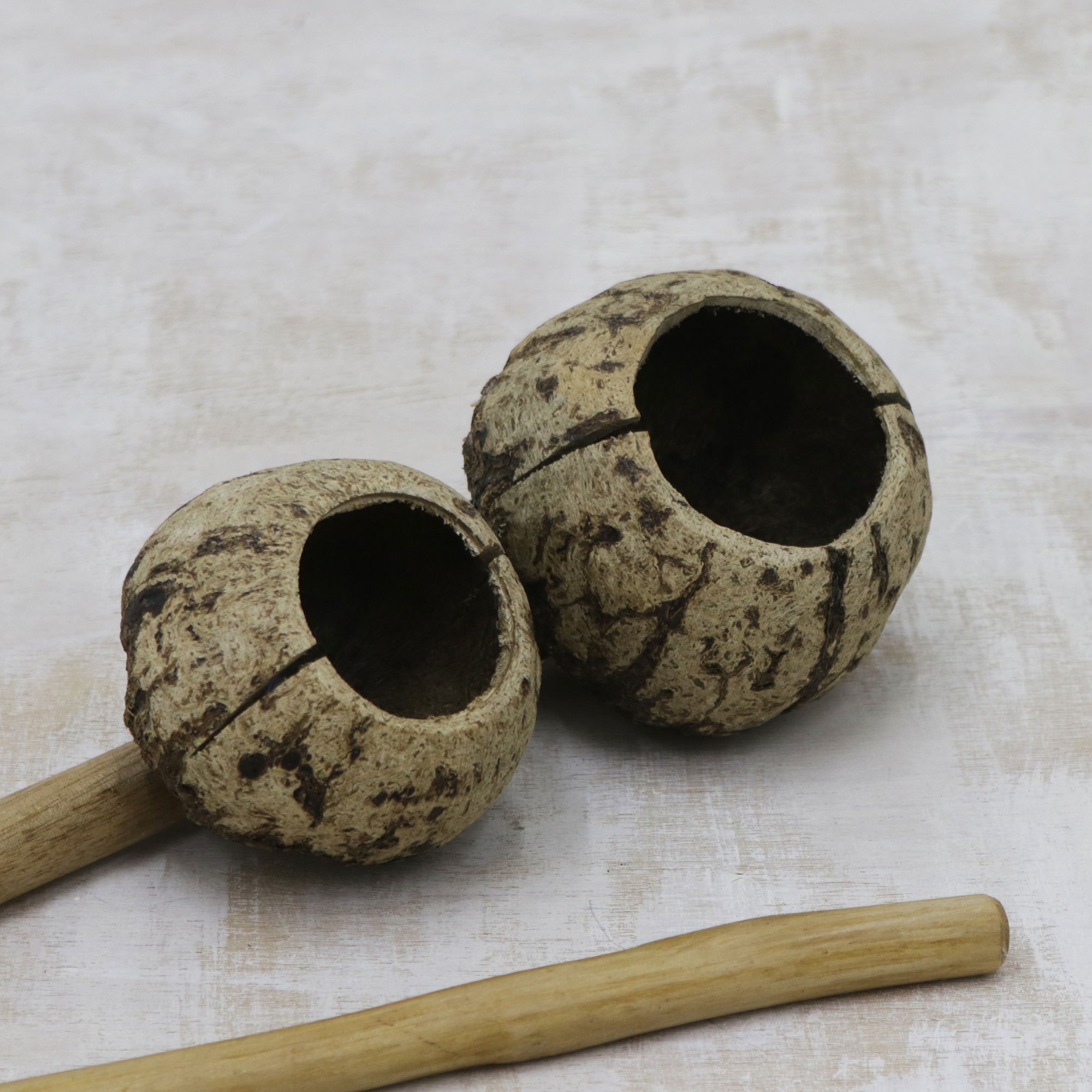 Brazil Nut and Wood Agogô Crafted in Brazil Traditional Sound NOVICA