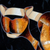Print, 'The Tiger' (limited edition) - Limited Edition Surrealist Tiger Print from Brazil (image 2b) thumbail