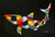 Impresión de lienzo - Colorido estampado surrealista con temática de tiburón de Brasil