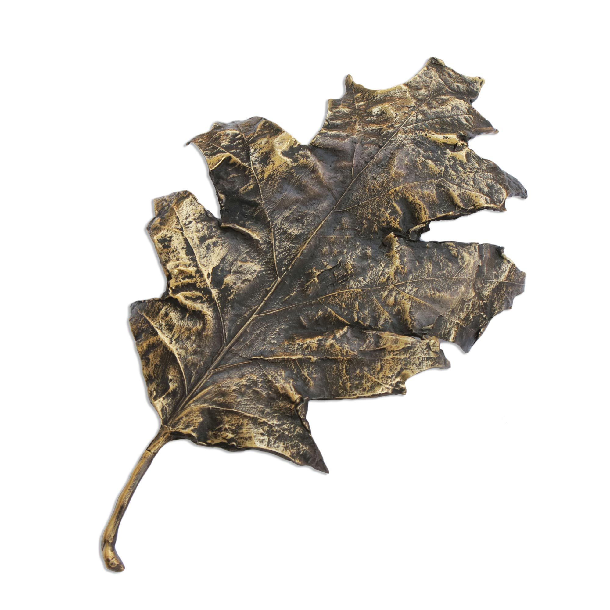 Signed Antiqued Bronze Leaf Sculpture from Brazil Fine Fall NOVICA