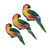 Pinewood wall accents, 'Vibrant Parrots' (set of 3) - Hand-Painted Wood Parrot Wall Adornments (Set of 3) (image 2a) thumbail