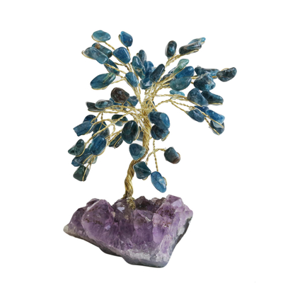 Apatite Gemstone Tree with an Amethyst Base from Brazil
