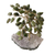 Diopside mini gemstone tree, 'Nature at Peace' - Diopside and Amethyst Brazilian Mini Gemstone Tree Sculpture (image 2a) thumbail