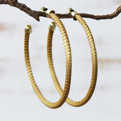 Gold accent golden grass half hoop earrings, 'Natural Dynamic' (2.5 Inch) - (2.5 Inch) Brazilian Golden Grass Gold Half hoop Earrings