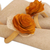 Wood and natural fiber napkin rings, 'Sunset Roses' (set of 6) - 6 Wood and Natural Fiber Tropicana Floral Napkin Rings