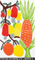 'Fruits of Brazil's Northeast' - Brazil Tropical Fruit Color Woodcut Print by J. Borges thumbail