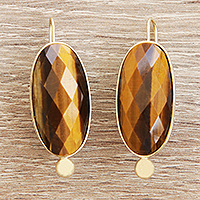 Gold and tiger's eye drop earrings, 'Golden Moments' - Tiger's Eye Drop Earrings in 18k Gold