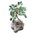 Quartz and amethyst mini gemstone tree, 'Hope and Happiness' - Green Quartz-Amethyst Brazilian Mini Gemstone Tree Sculpture (image 2a) thumbail