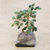 Quartz and amethyst mini gemstone tree, 'Hope and Happiness' - Green Quartz-Amethyst Brazilian Mini Gemstone Tree Sculpture (image 2c) thumbail