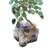 Quartz and amethyst mini gemstone tree, 'Hope and Happiness' - Green Quartz-Amethyst Brazilian Mini Gemstone Tree Sculpture (image 2e) thumbail