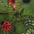 'Party in the Cerrado Goiano' - Brazil Flora and Fauna Painting (image 2c) thumbail
