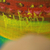 'colorful fruit' (2021): pintura artística firmada de frutas tropicales brillantes brasileñas