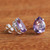 Amethyst stud earrings, 'Crystalline Tears' - Brazilian Petite Teardrop Amethyst & Silver Stud Earrings thumbail