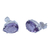 Amethyst stud earrings, 'Crystalline Tears' - Brazilian Petite Teardrop Amethyst & Silver Stud Earrings (image 2a) thumbail