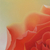 'Nectar of Life' (2021) - Peace Rose Signed Stretched Painting of Symbolic Flower (image 2c) thumbail