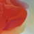 'Nectar of Life' (2021) - Peace Rose Signed Stretched Painting of Symbolic Flower (image 2d) thumbail