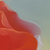 'Nectar of Life' (2021) - Peace Rose Signed Stretched Painting of Symbolic Flower (image 2e) thumbail