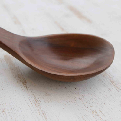 Wood serving spoon, 'Brown Appeal' - Wood Serving Spoon Carved by Hand in Brazil