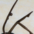Bronze sculpture, 'Concave Movement II' - Bronze sculpture (image 2c) thumbail