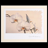 'Blume' - in Pastellfarben signiertes Orchideenfoto