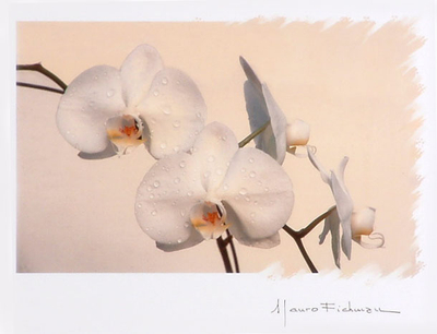 'Blume' - In Pastellfarben signiertes Orchideenfoto
