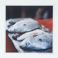 'Fish' - Fotografía moderna en color de la pescadería