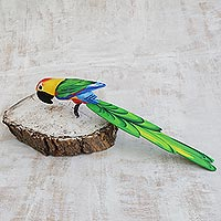 Carving, 'Red Headed Macaw' (large) - Carving (Large)