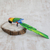 Carving, 'Red Headed Macaw' (large) - Carving (Large) thumbail