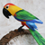 Carving, 'Red Headed Macaw' (large) - Carving (Large) (image 2b) thumbail