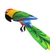 Carving, 'Red Headed Macaw' (large) - Carving (Large) (image 2d) thumbail